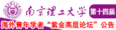 大鸡巴使劲搞女人逼视频南京理工大学第十四届海外青年学者紫金论坛诚邀海内外英才！